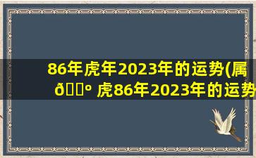 86年虎年2023年的运势(属 🐺 虎86年2023年的运势和婚姻)